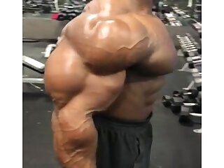 Muscle Hunk Gym Work Out