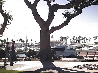 Beauties by the Bay 2017