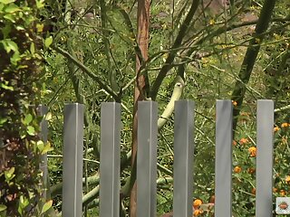 Horseplay 4 Logan Vaughn, Steve Stiffer