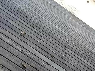 Sumset-cage-check in carinthia