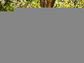 The Island, Part 3  Damien Stone & Javier Cruz