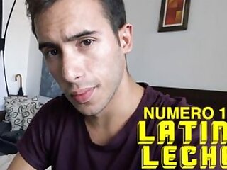 Latin Leche  Numero 17  2018