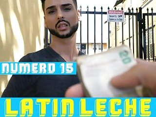 LatinLeche  Numero 15  2018