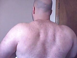Bull Muscle Back