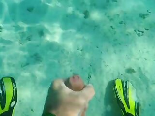 Wonder if the fish liked the taste