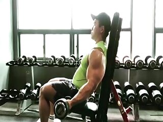 HAA: Huge Asian Arms