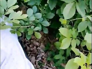 Chinese ,olderman ,asian gay