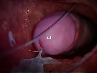 Hard sex with a friend in different poses