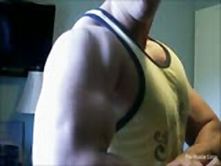 Stevo 3