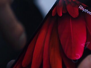 Ass Controller 3 (Ryan Bones, Thyle Knoxx)