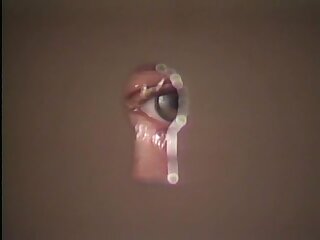 Bareback Classics Vol 1 Disc 2 (1985-1988)