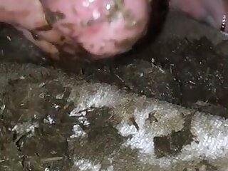 Fun with horse shit.. - ThisVid.com